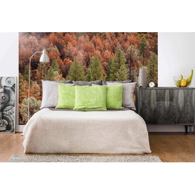 DIMEX ART Самозалепваща се флизелинова фототапета красива есенна гора 375 x 250 см