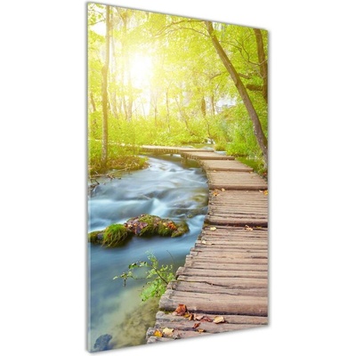 Vertikálny foto obraz fotografie na skle Chodník v lese 50x100 cm
