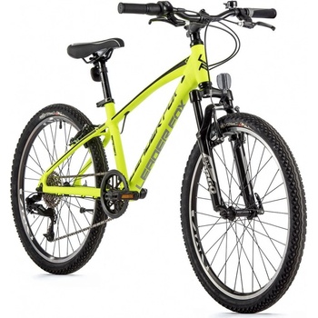 Leader Fox Spider 4 2023