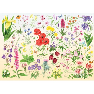 The House of Puzzles Poľné kvety 1000 dielov