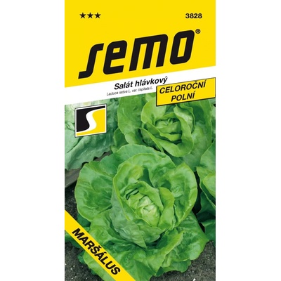 SEMO Šalát hlávkový celoročný Maršálus 0.6 g