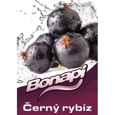 Bonapi ČERNÝ RYBÍZ točené limonády post mix 20l BIB