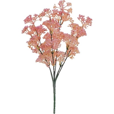 ZÁPICH TRACHELIUM BÉŽOVÝ 30CM
