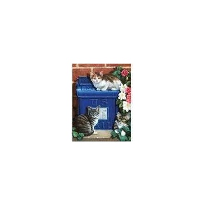 Royal Langnickel malování podle čísel poštovní schránka s kočkami 22 x 30 cm karton