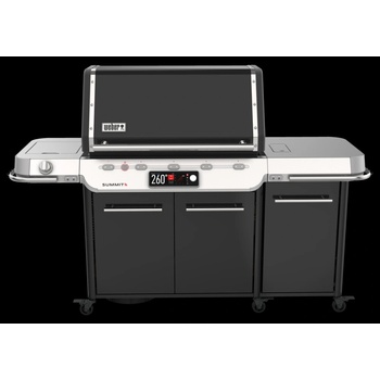 WEBER Summit FS38X