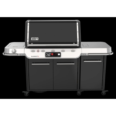 WEBER Summit FS38X