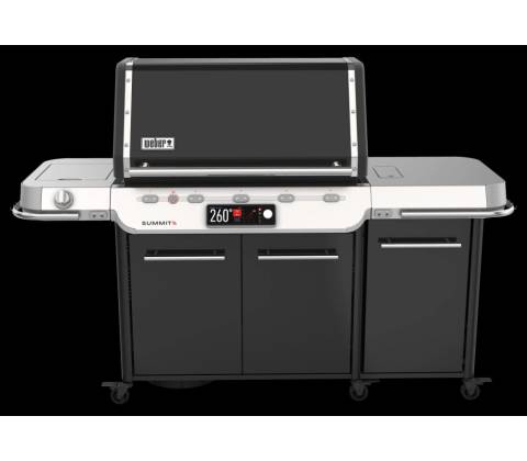 WEBER Summit FS38X