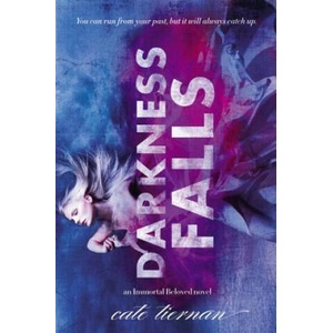 Darkness Falls | Cate Tiernan (ISBN: 9780316035941)