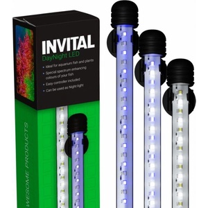 INVITAL DayNight LED 3, 6W 19см (Z06240)
