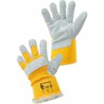 CXS DINGO WINTER 370000100011