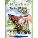 Royal & Langnickel Malování podle čísel Koně