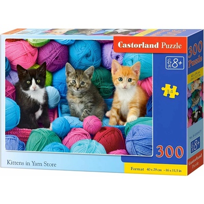 CASTORLAND Mačičky a klbká 300 dielov