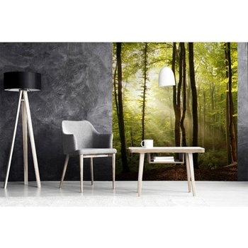 DIMEX ART s. r. o Флизелинов фототапет гора 225 x 250 см