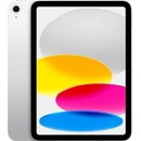 Apple iPad 10.9 (2024) 256GB Wi-Fi Silver MCMD4HC/A