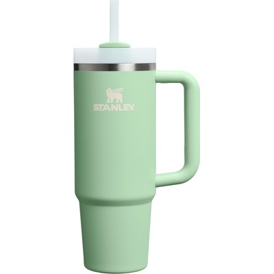 Stanley The Quencher Cup H2.O FlowState Tumbler 890 ml 30oz Pistachio