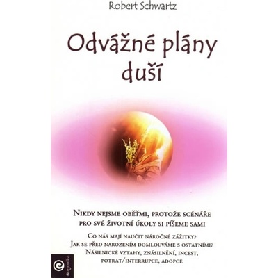 Odvážné plány duší - Schwartz Robert
