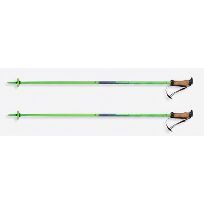 Sjezdové hole Elan Speedrod Green 2021/22 – Zbozi.Blesk.cz