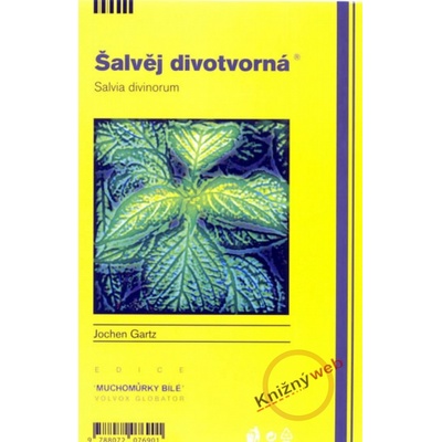 Šalvěj divotvorná