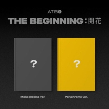 ATBO - The Beginning CD