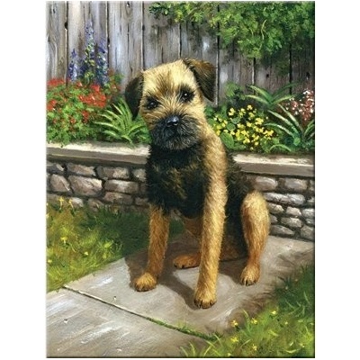 Malování podle čísel Štěně černý čumáček