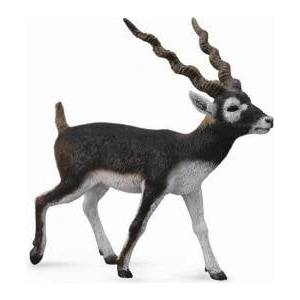 CollectA Antelope Blackbuck Figure (004-88638)