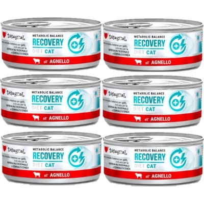 Disugual Recovery Jahňacie 6 x 85 g