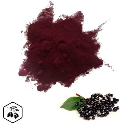 LifeChi Bez černý Sambucus nigra extrakt v prášku 100 g
