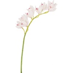 Bizzotto ИЗКУСТВЕНА КЛОНКА cymbidium dyan 82cm БЯЛ (0170680)