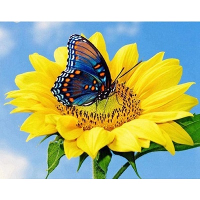Диамантен Гоблен "Цвете с Пеперуда" - 30 x 40 см, Кръгли мъниста