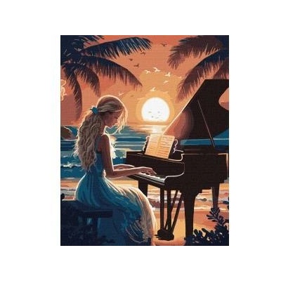 Ideyka Painting by numbers - Harmony of sounds 40x50cm