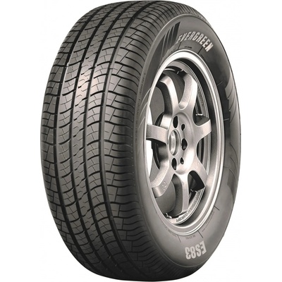 Evergreen ES83 225/55 R18 98V
