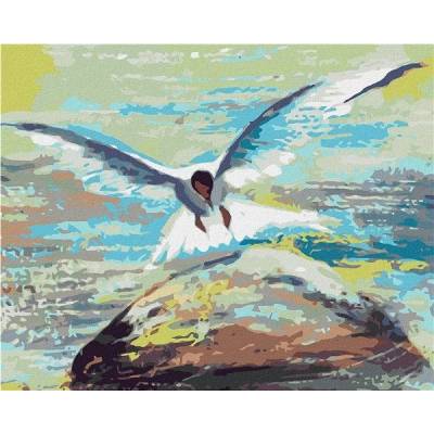 zuty Malování Podle Čísel Racek Letící Nad Kamenem 40 x 50 Cm Plátno Rám