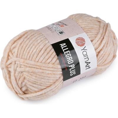 Pletací příze Allegro Plus 100 g - 2 (704) béžová světlá