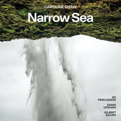 Upshaw Dawn - Narrow Sea CD