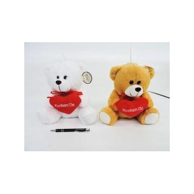 SUN-DAY Teddy bear with a heart 24cm MIX