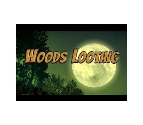 Woods Looting