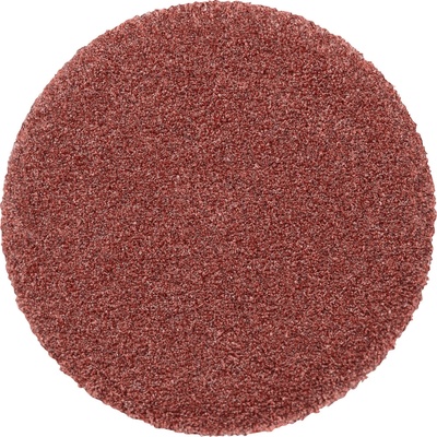 Pferd 42832032 | PSA-Discs 12 A 320