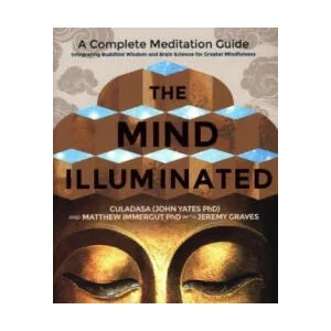 Mind Illuminated (ISBN: 9781781808207)