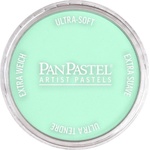 PanPastel Artists’ Сух пастел 956.5 Pearlescent Green 1 бр (8029565-1)