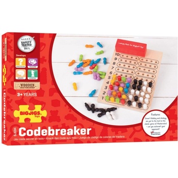 Bigjigs Logik