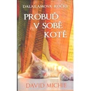 Dalajlamova kočka - Probuď v sobě kotě