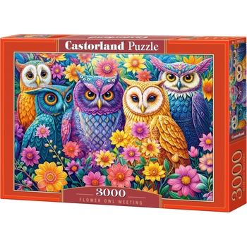 Castorland Пъзел Castorland от 3000 части - Среща на цветя и сови (С-300723-2)