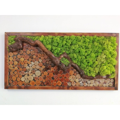 Machovo-drevený obraz 40cm x 80cm