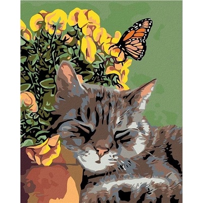 zuty Malování podle čísel odpočívající kocour a motýl v květinách 40 x 50 cm vypnuté plátno na rám