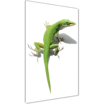 Vertikálny foto obraz sklenený Zelená jašterica 50x100 cm