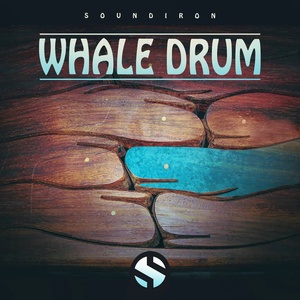 Soundiron Whale Drum (Дигитален продукт)