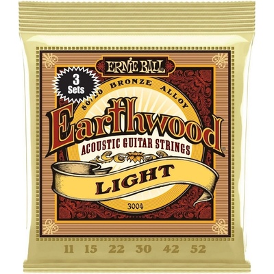 Ernie Ball 3004