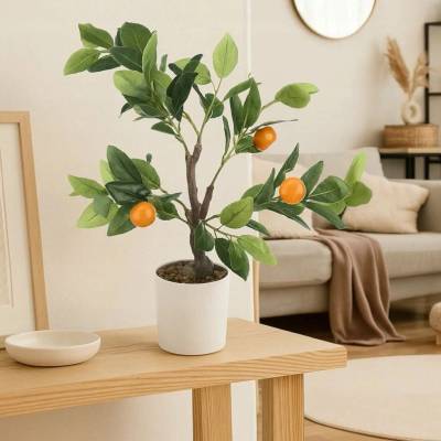 Ibergarden Dekorativní pomerančovník , 58 cm