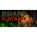 Dwarf Fortress