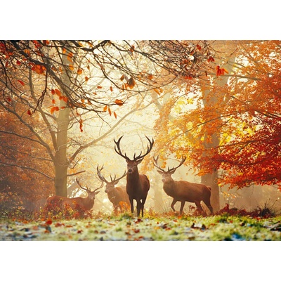 Heye - Puzzle Magic Forests: Stags - 1 000 piese